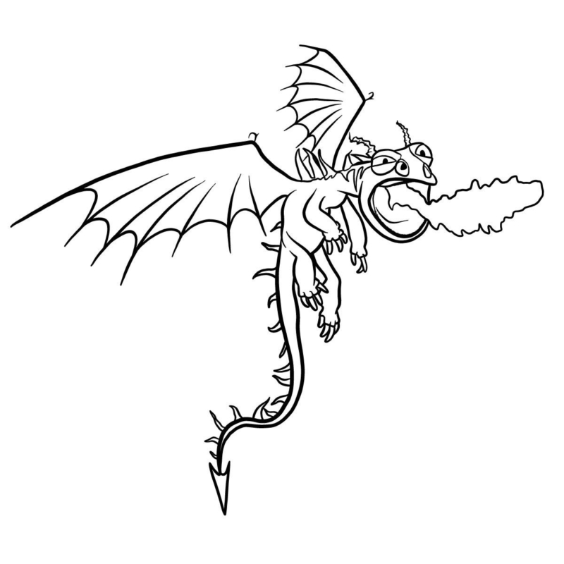 Раскраска Как приручить дракона. Распечатать Беззубика и Иккинга