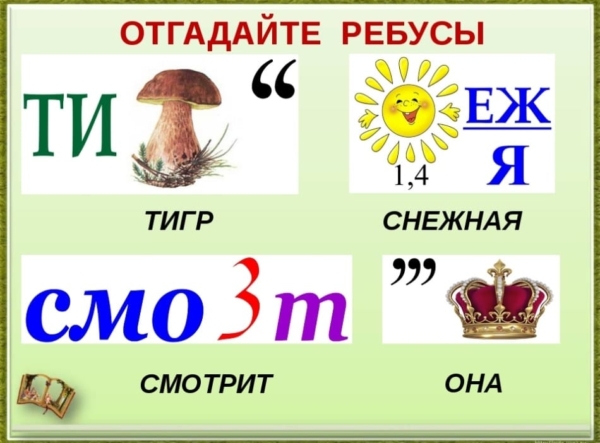 Ребусы по избирательному праву в картинках с ответами