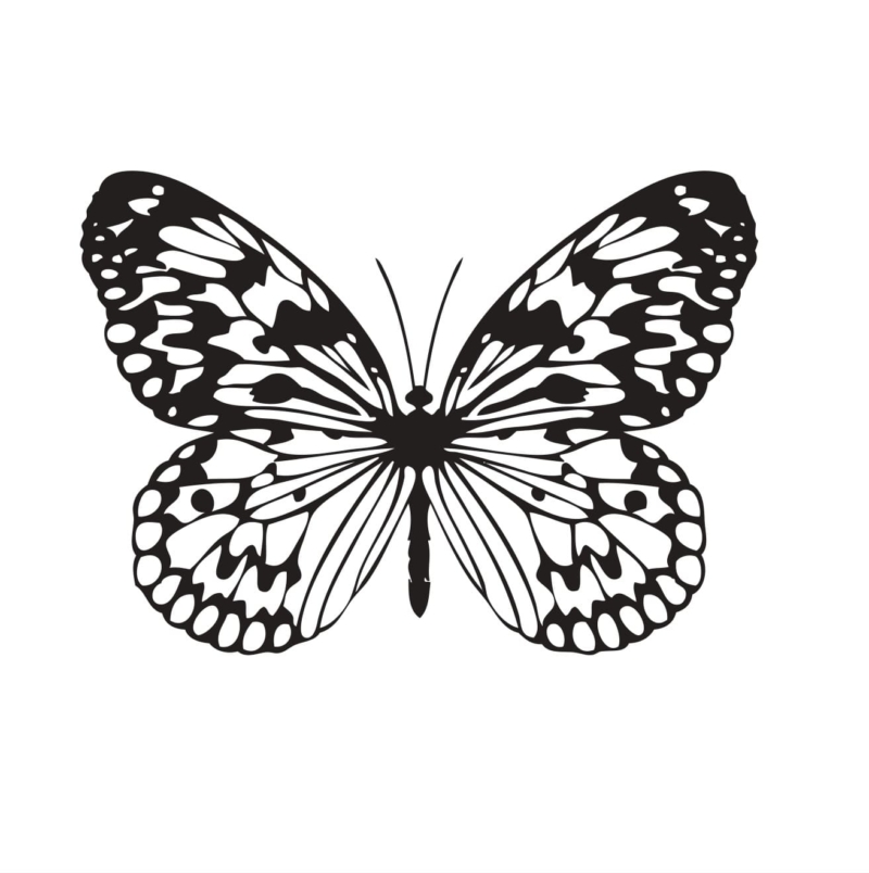 Трафарет Бабочки | Распечатать бесплатно