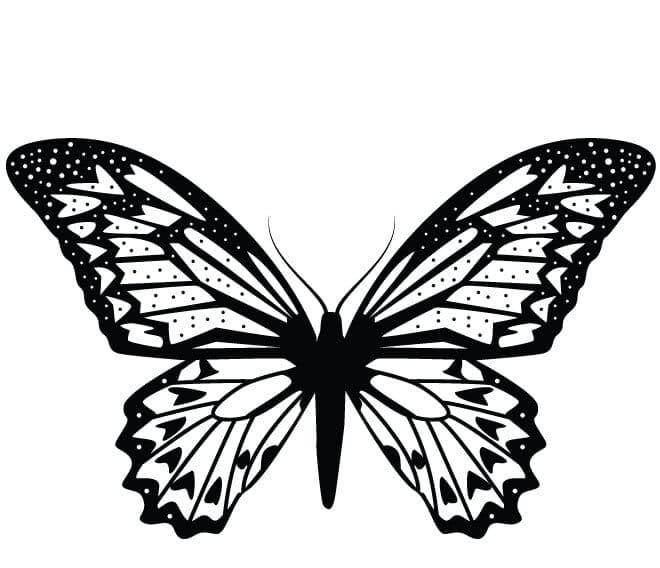 Butterfly Stencils | Free Printable