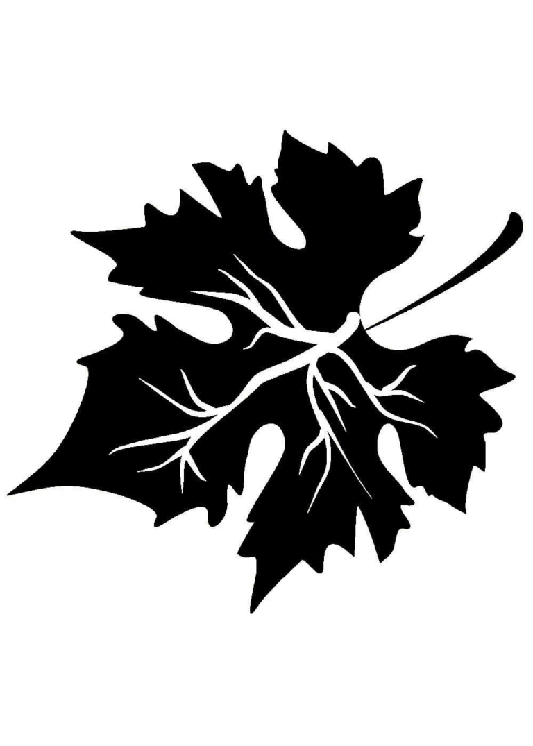 15 Stück Mylarfolie Schablonen Blätter 30,5x21,7cm - Transparente Bastelschablonen Folie