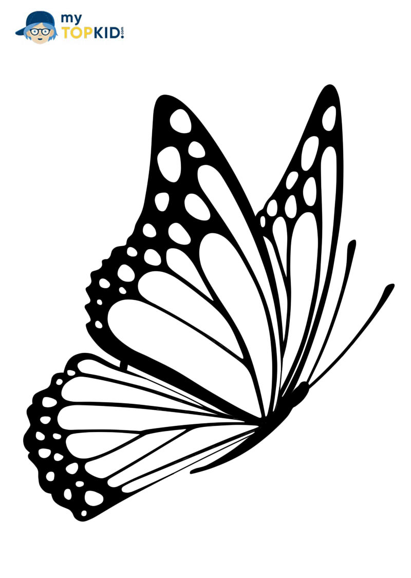 Butterfly Stencil – Tim's Printables  Butterfly template, Butterfly  outline, Butterfly stencil