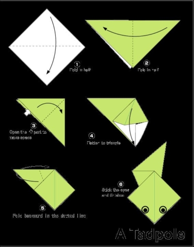 Origami Instructions 